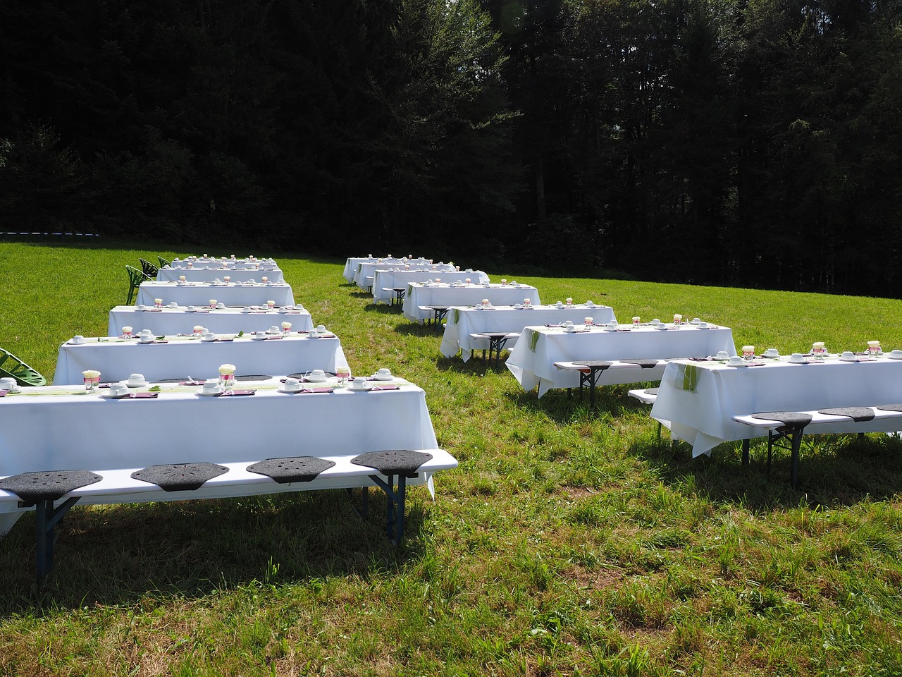 table, board, fixed, celebration, cover, set table, wedding